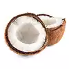 cocco tritato