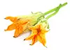 squash blossoms, center parts removed