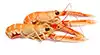 scampi interi (o altri crostacei come gamberi o aragoste)