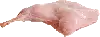 Gamba Di Coniglio