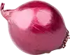 cipolla rossa tritata finemente