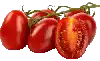 pomodori rom, tritati (circa