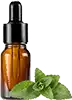 stevia liquida