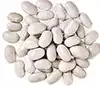 great northern beans (not drained)
