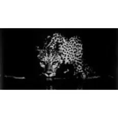 Collezione Taittinger Taittinger di Sebastiao Salgado