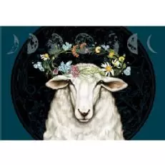 Bonterra Elysian Merlot da agricoltura biologica