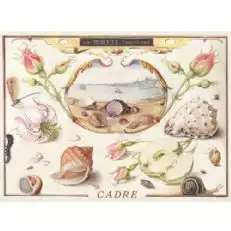 Cadre Regina del Mare Albarino