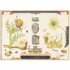 Cadre Banda di Pietre Gruner Veltliner