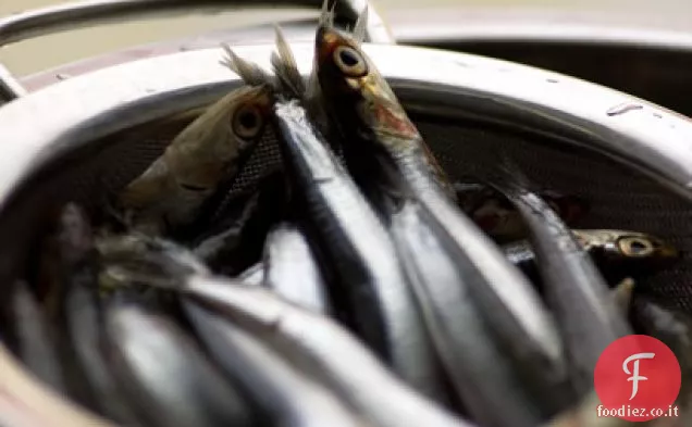 Boqueroni marinati