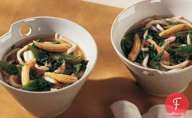 Zuppa di noodle Udon calda e acida