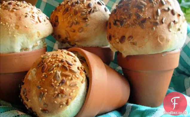Frittelle di zucca (o zucca) 