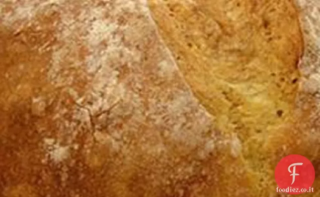 Vacanza No Impastare il pane di zucca