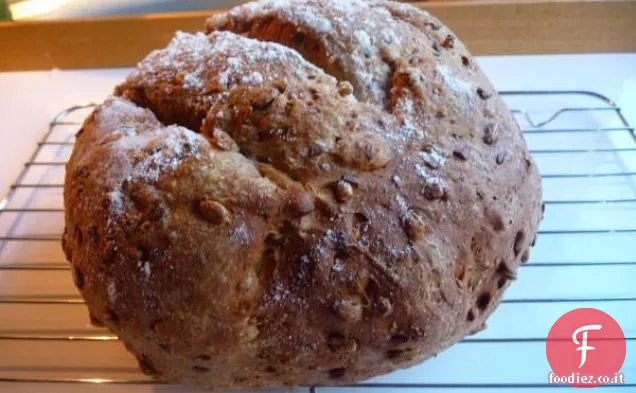 Pane di semi e farro Abm