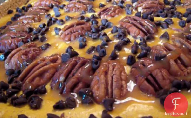 Torta di zucca tartaruga