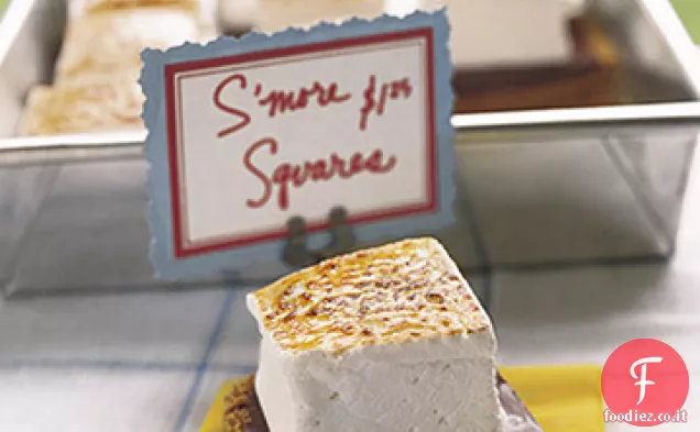 S'more Squares