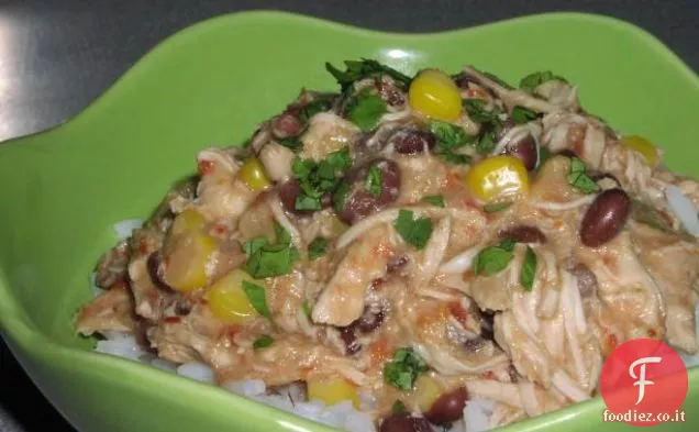 Kickin ' cremoso stufato di pollo in un fornello lento