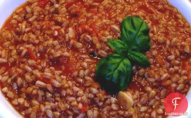 Riso al pomodoro con Basilico