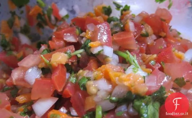 Insalata di pomodoro fresco e mozzarella