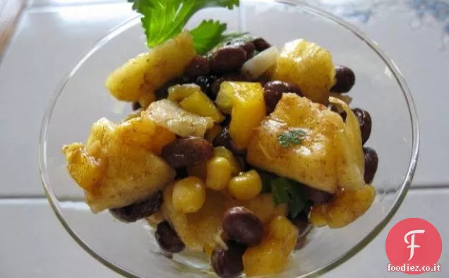 Dieta speciale Kitty Cat rene/rene/diabete di Fee