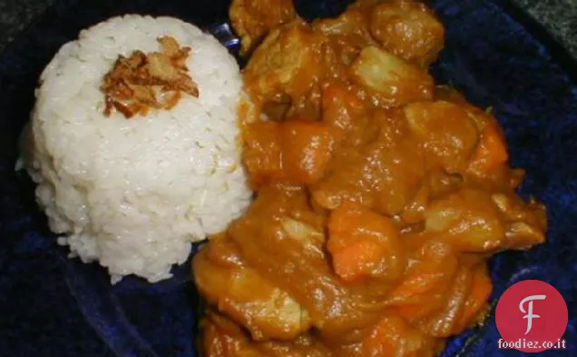 Abaranger Dino Curry