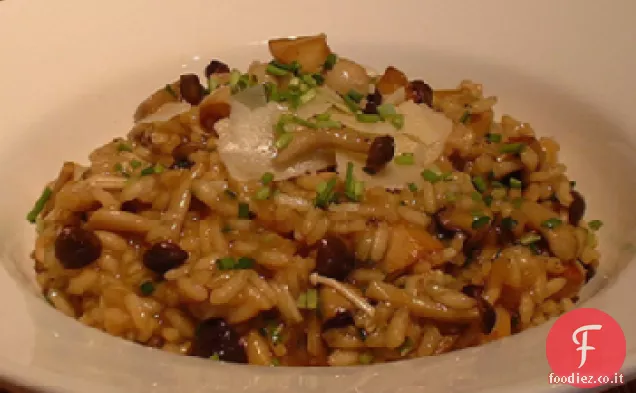 Risotto ai Funghi selvatici