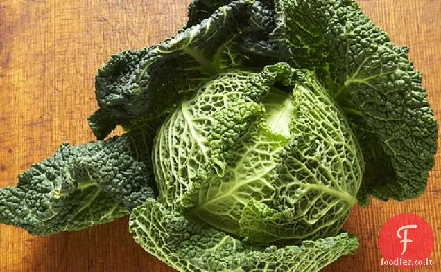 Il facile cavolo “non imbottito” di Marilyn Greenberg