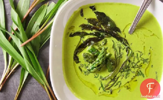 Zuppa di asparagi e rampe con yogurt