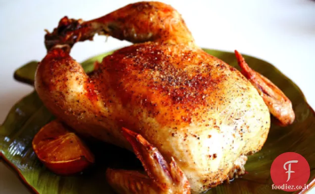 Pollo da picnic