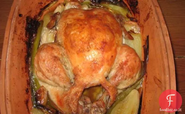 Cipolla pentola di argilla Pollo