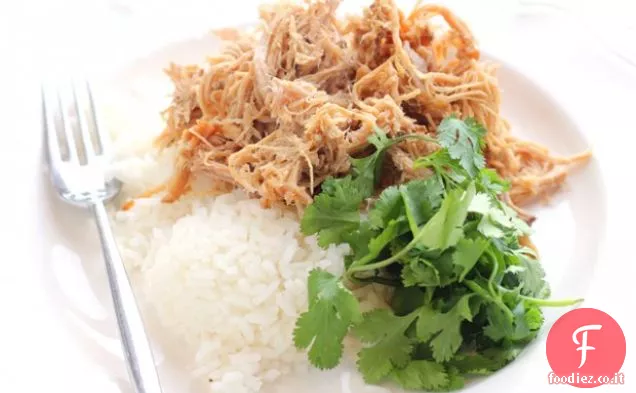 Facile Hawaiian Kalua maiale