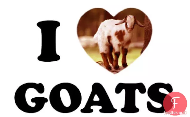 Insalata Waldorf con yogurt di capra