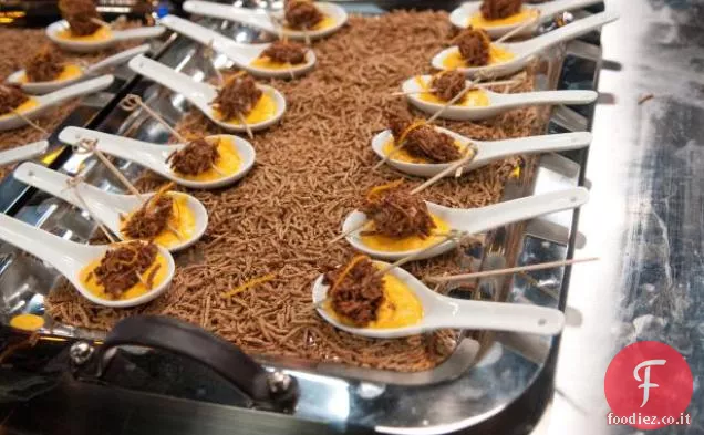 Zuppa di carote allo zenzero con Kellogg'andreg; Tutto Branandreg; Crostini di filetto di maiale in crosta