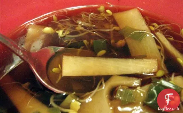 Menma-Brasato Germogli di bambù per Ramen Topping