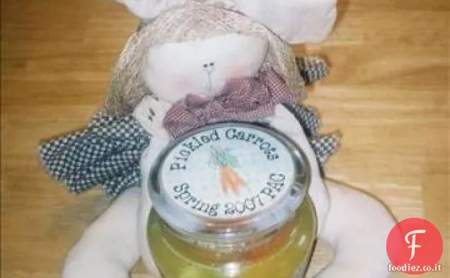 Carote in salamoia