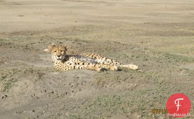 Pesce al cartoccio con finocchio e lime