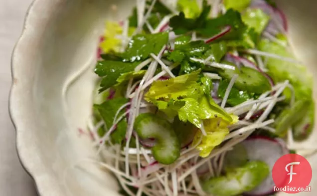 Insalata di sedano e sedano