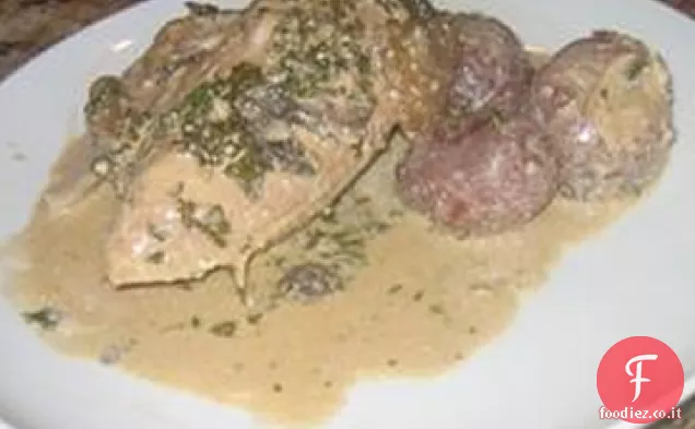 Fornello lento Prezzemolo Pollo