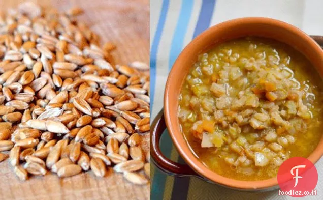 Zuppa di Farro e porro