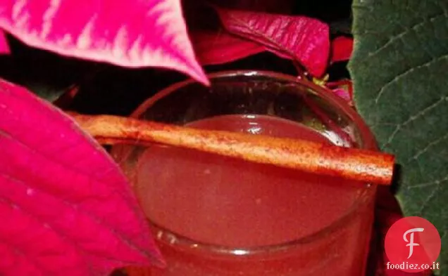 Poinsettia Sipper (con variante 