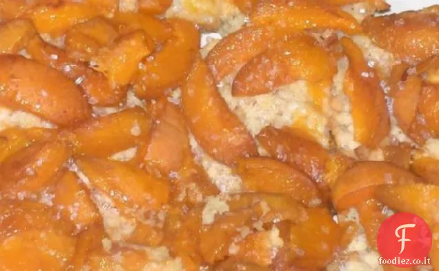 Albicocca Crumble Piazze