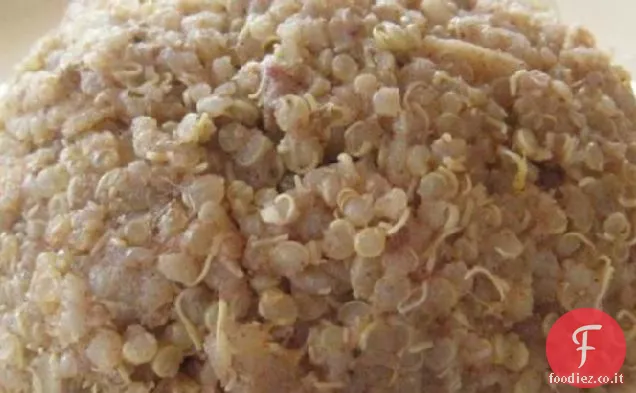 Quinoa di frutta secca speziata