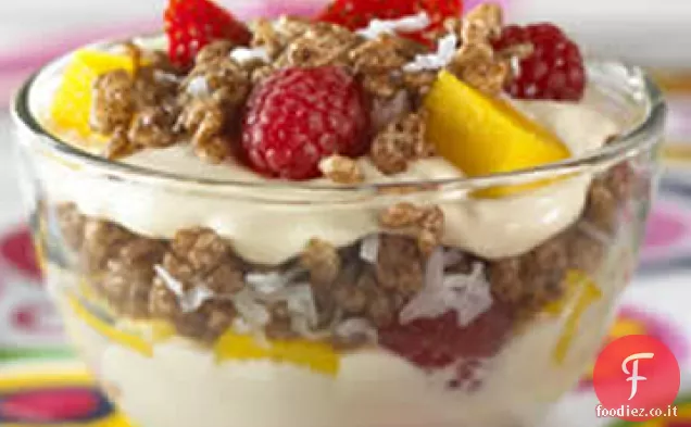 Semifreddi allo yogurt al cacao