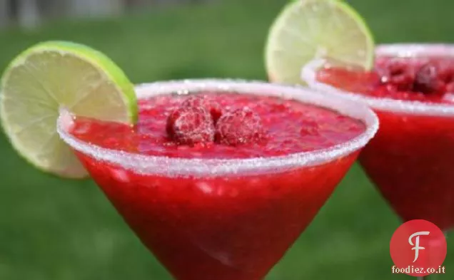 Margarita di Cactus Rosso-Alcol opzionale