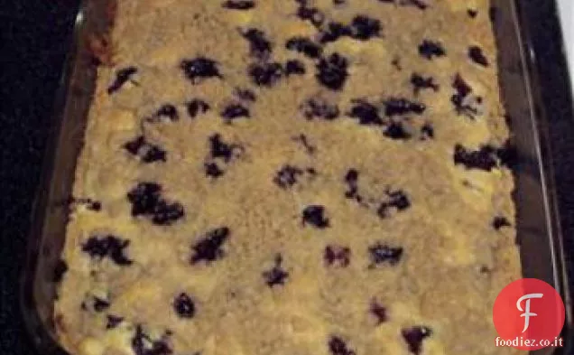 Blueberry Fibbia