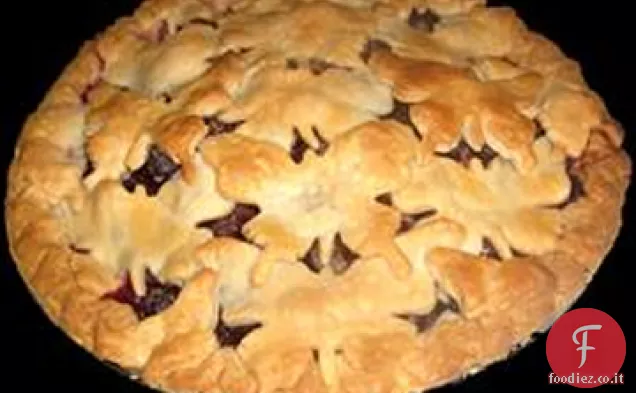 Torta di mirtilli freschi IV