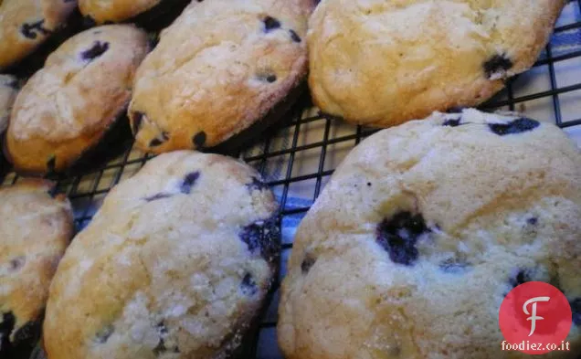 Fant-Muffin ai mirtilli facili