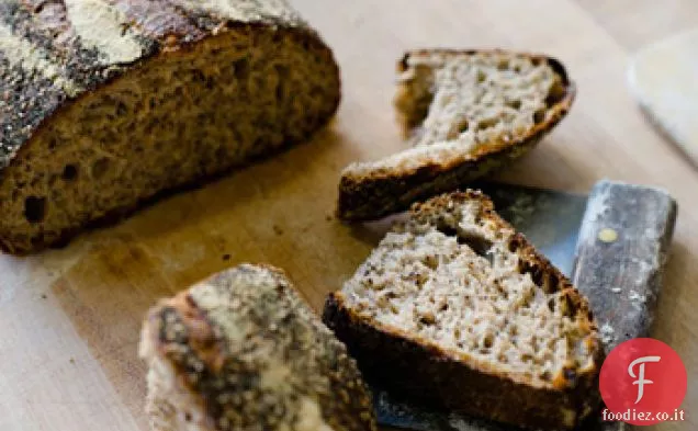 Insalata di cicoria di fine estate con crostini integrali seminati