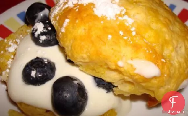 Shortcakes al limone e mirtillo