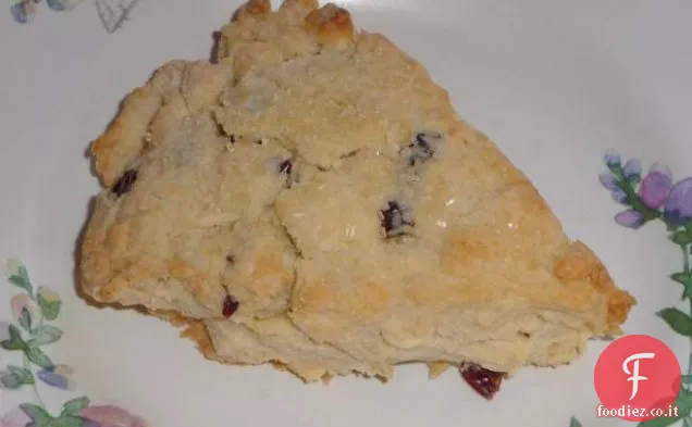 Craisin Focaccine al cioccolato bianco