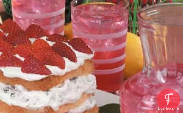 Cocktail di succo di mirtillo vergine